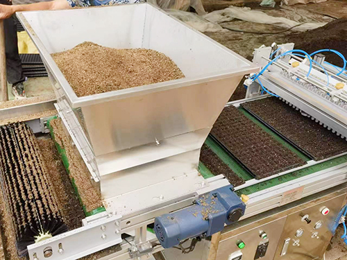 Seedling Tray Seeder