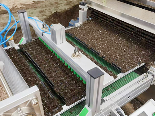 Seedling Tray Seeders